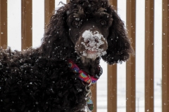 2015-02-16_14-12-55