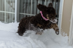 2015-02-22_08-00-31