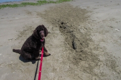 2015-05-20_13-50-08